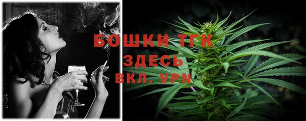 твердый Арсеньев