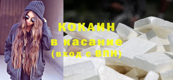твердый Арсеньев