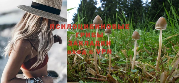 гашишное масло Армянск