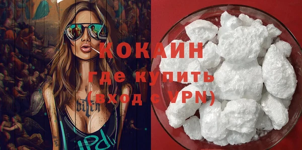твердый Арсеньев
