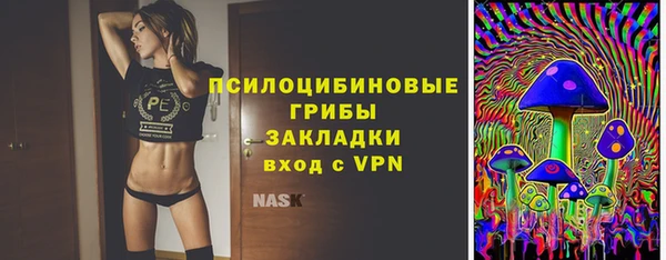 каннабис Аркадак