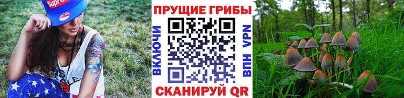 Псилоцибиновые грибы ЛСД  Осинники 